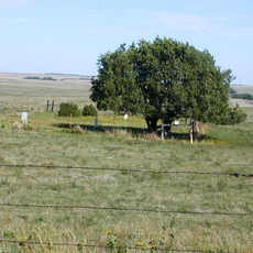 Sheridan County 